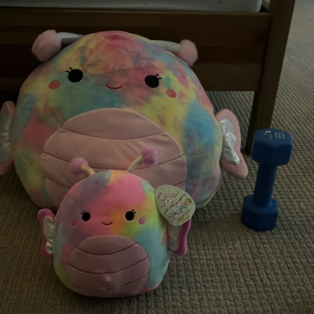 One big and one small butterfly squishmellow